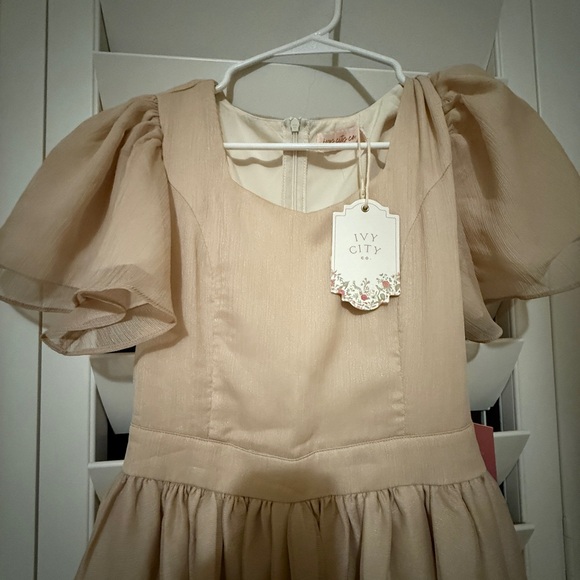 Ivy City Co. Abbie Dress Size 0 NWT - Picture 5 of 8